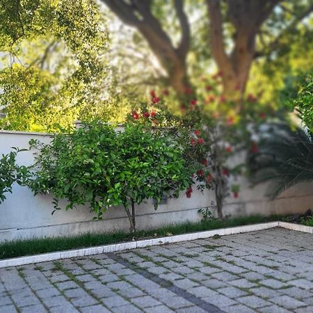 Apartments Villa Alba دوبروفينك المظهر الخارجي الصورة