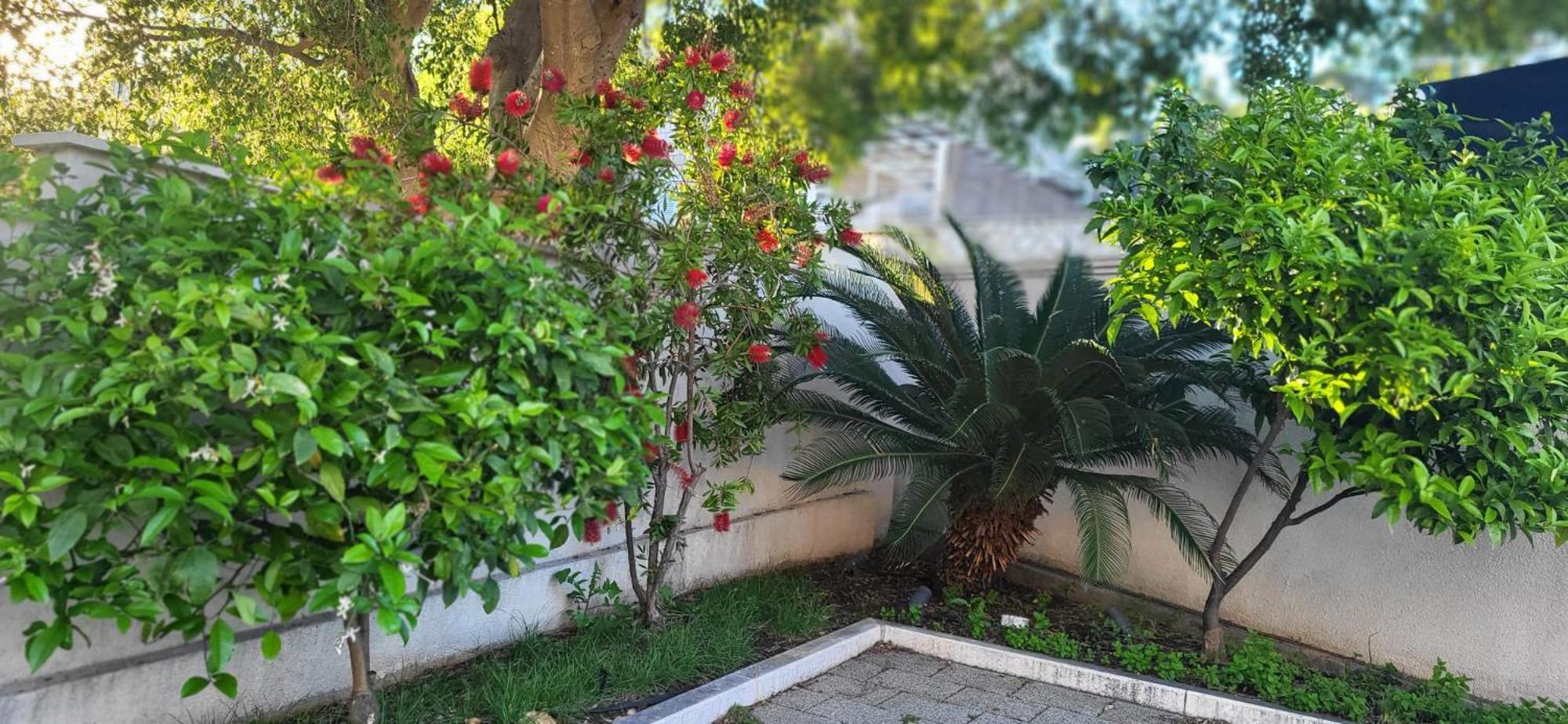 Apartments Villa Alba دوبروفينك المظهر الخارجي الصورة