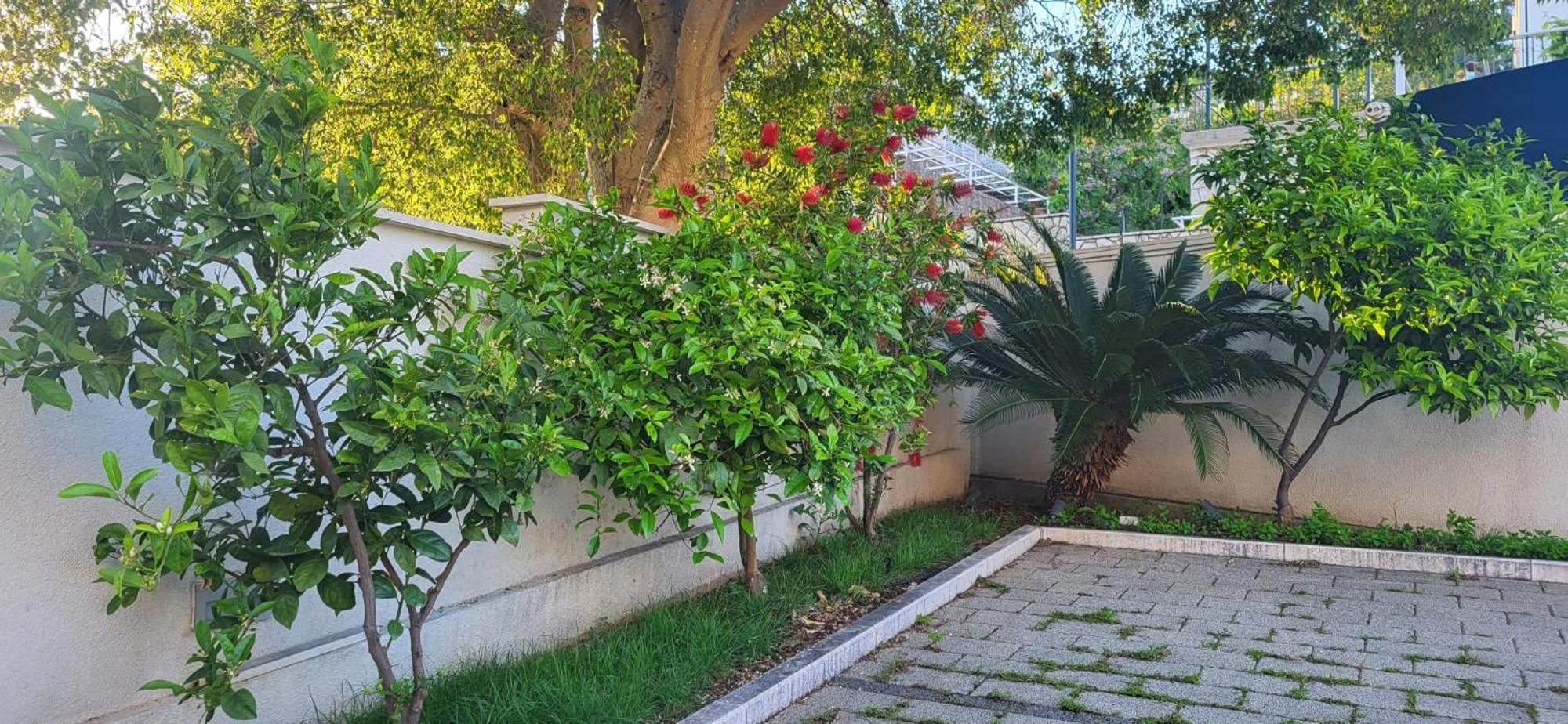 Apartments Villa Alba دوبروفينك المظهر الخارجي الصورة